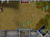 aom.jpg (69236 byte)